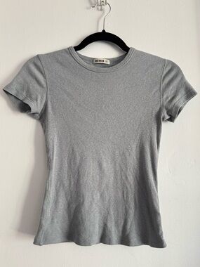 Buck Mason Gray Slim Ribbed Tee